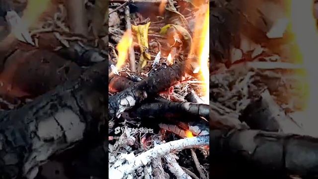 Мой костер
