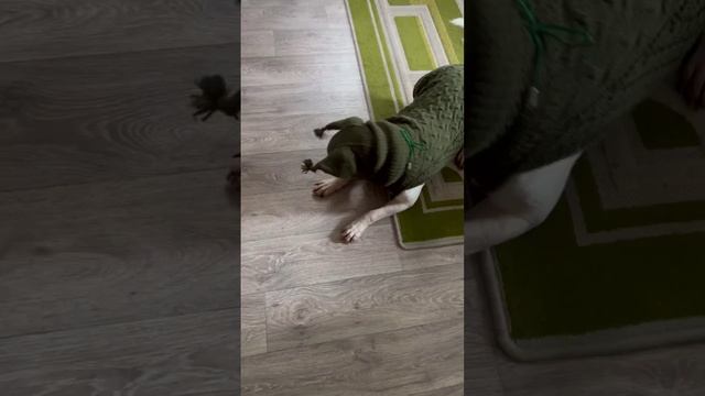 Цвет хаки теперь актуален как никогда