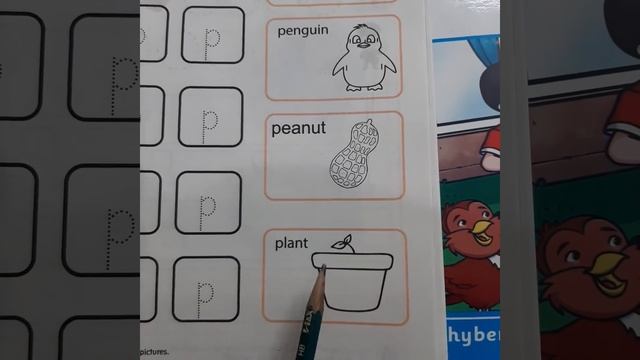 18 Introduction of  letter P and p KG English Primer Khyber Pakhtunkwha Texbook Board, Peshawar KPK