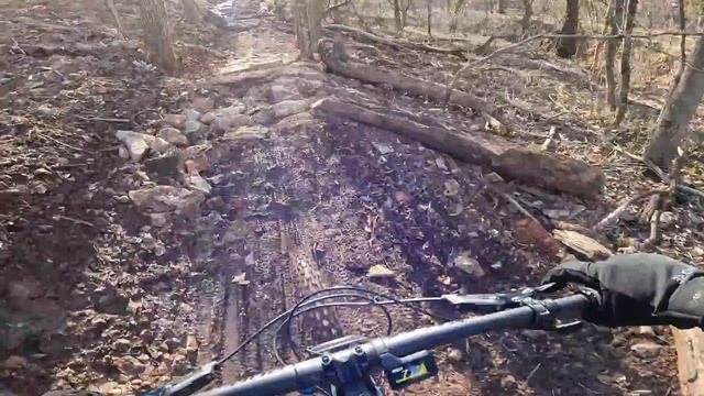 NEW Trail Day! - Rotten to The Core | Black Diamond | Slaughter Pen | #Bentonville #new #yeti #mtb