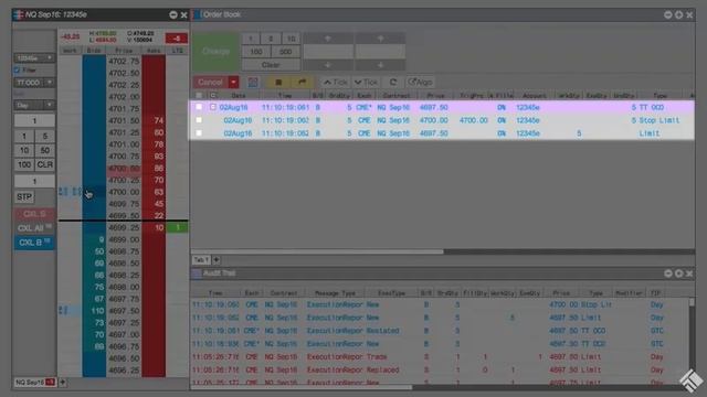 17. Module 2-7 TT OCO Order