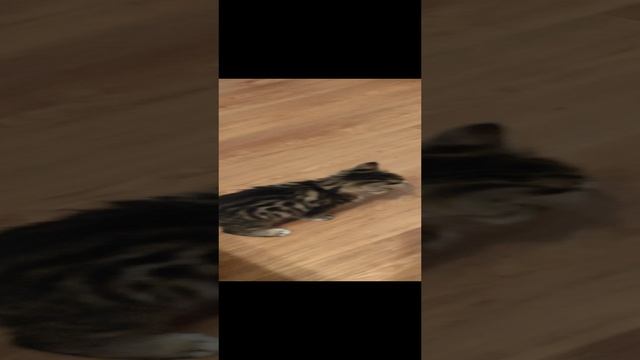 1000076550.mp4