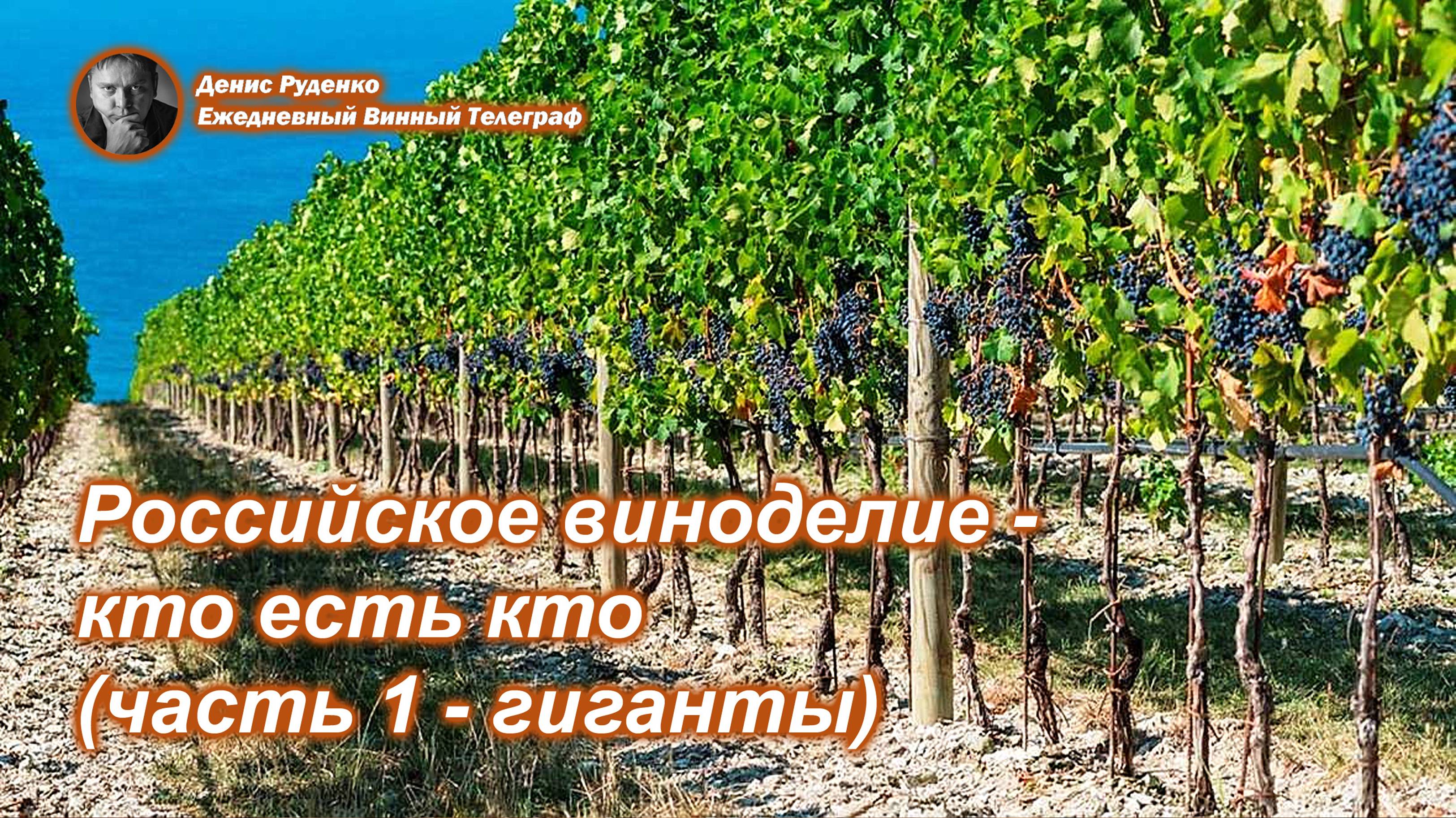 Российское виноделие -кто есть кто (часть 1 - гиганты)!