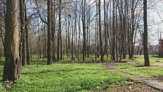 Парк Первой Земской больницы Сергиева Посада.