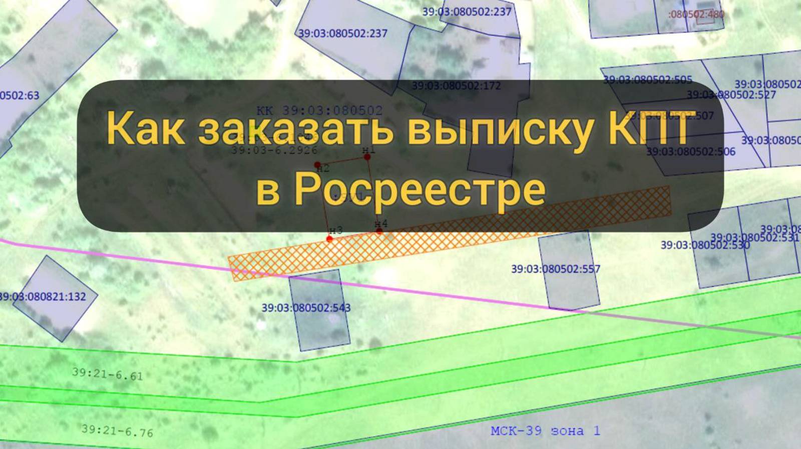 Как заказать выписку на кадастровый план территории (КПТ) на сайте Росреестра