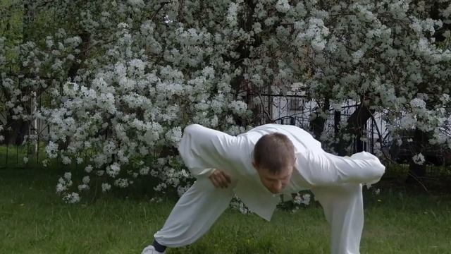 8 упражнение "БА ДУАНЬ ЦЗИНЬ"