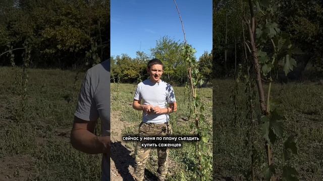 Промежуточные итоги моего виноградного хобби🥸🍇🍇🍇