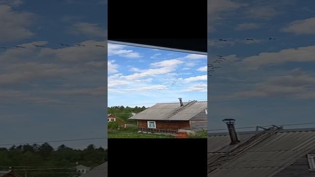 1000277975.mp4