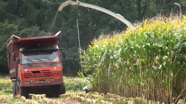 part 3 Boxtel Cornharvest 2021 Jennisssen Claas jaguar 950 + New 750 orbis + 2  fendt + kaweco+truc