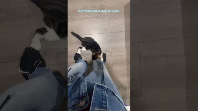 "А можно я с тобой". Art Pakpoom Juanchainat и его питомец Killua.