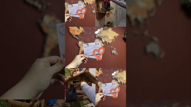 Парные "ДУШИ ПАРМЫ"