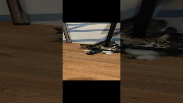 1000076791.mp4