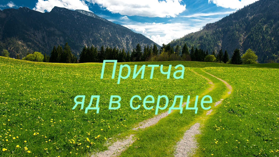 Ответы на твои вопросы 💕