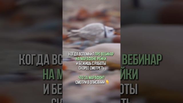 Вспомнил про вебинар и бежишь с работы скорее смотреть #психология#медитация#здоровье#саморазвитие