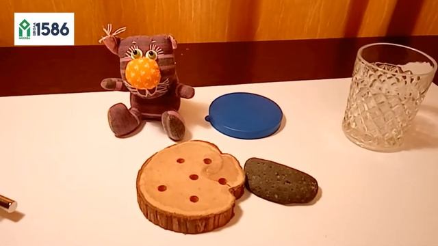 Магниты и их свойства 4+