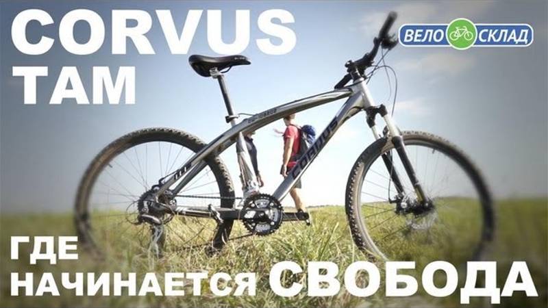 Corvus там где начинается свобода