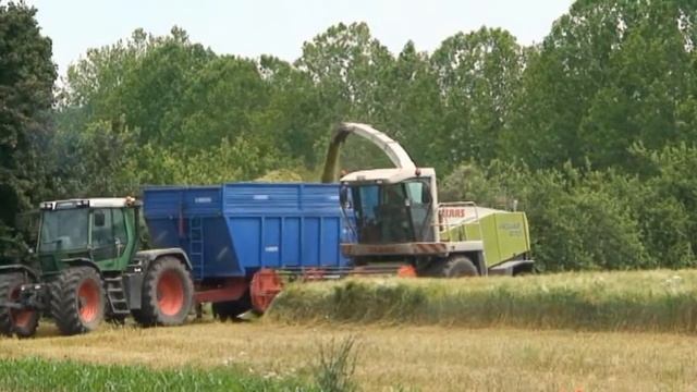 Claas Jaguar 870 Triticale