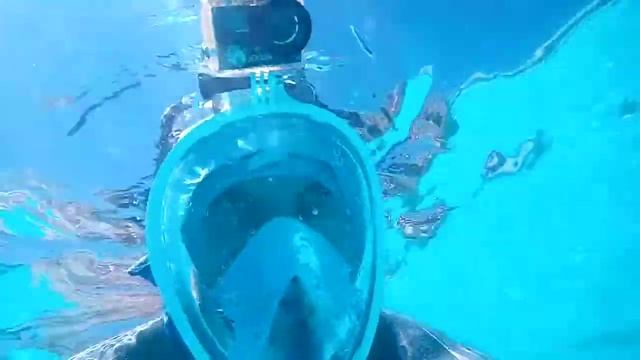 Doogee S68 Pro Smartphone Underwater Video Sample @ Hotel Club Tismana Pool - Jupiter