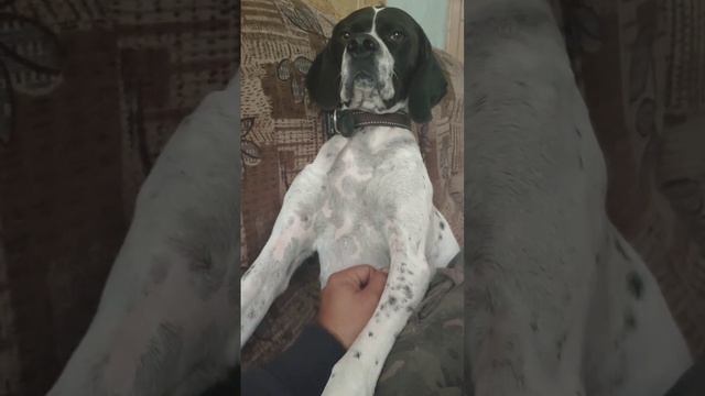 Потеряшка которая теперь в нашей команде