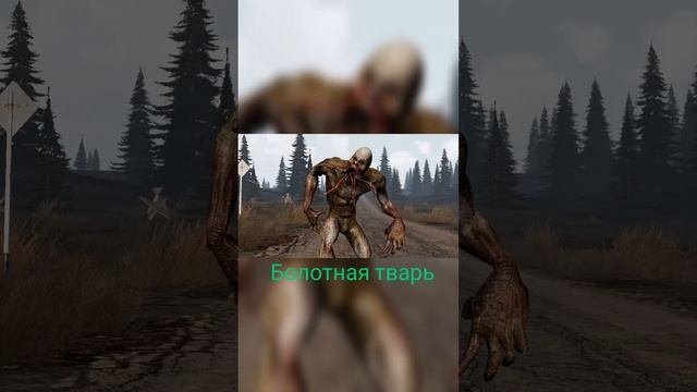Мутанты из игры  S.T.A.L.K.E.R. 