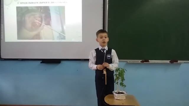 Трощук Макар исследование 137 школа красноярск