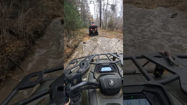 Делись, сколько ты зарабатываешь?🤔