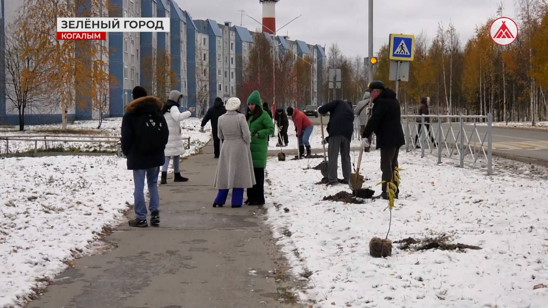 Новые растения украсят Когалым