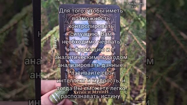 🔔⏱️Совет-подсказка для Вас⚡️🍀💫
