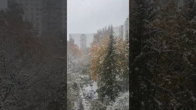 ❄️В Ясенево волшебно!❄️