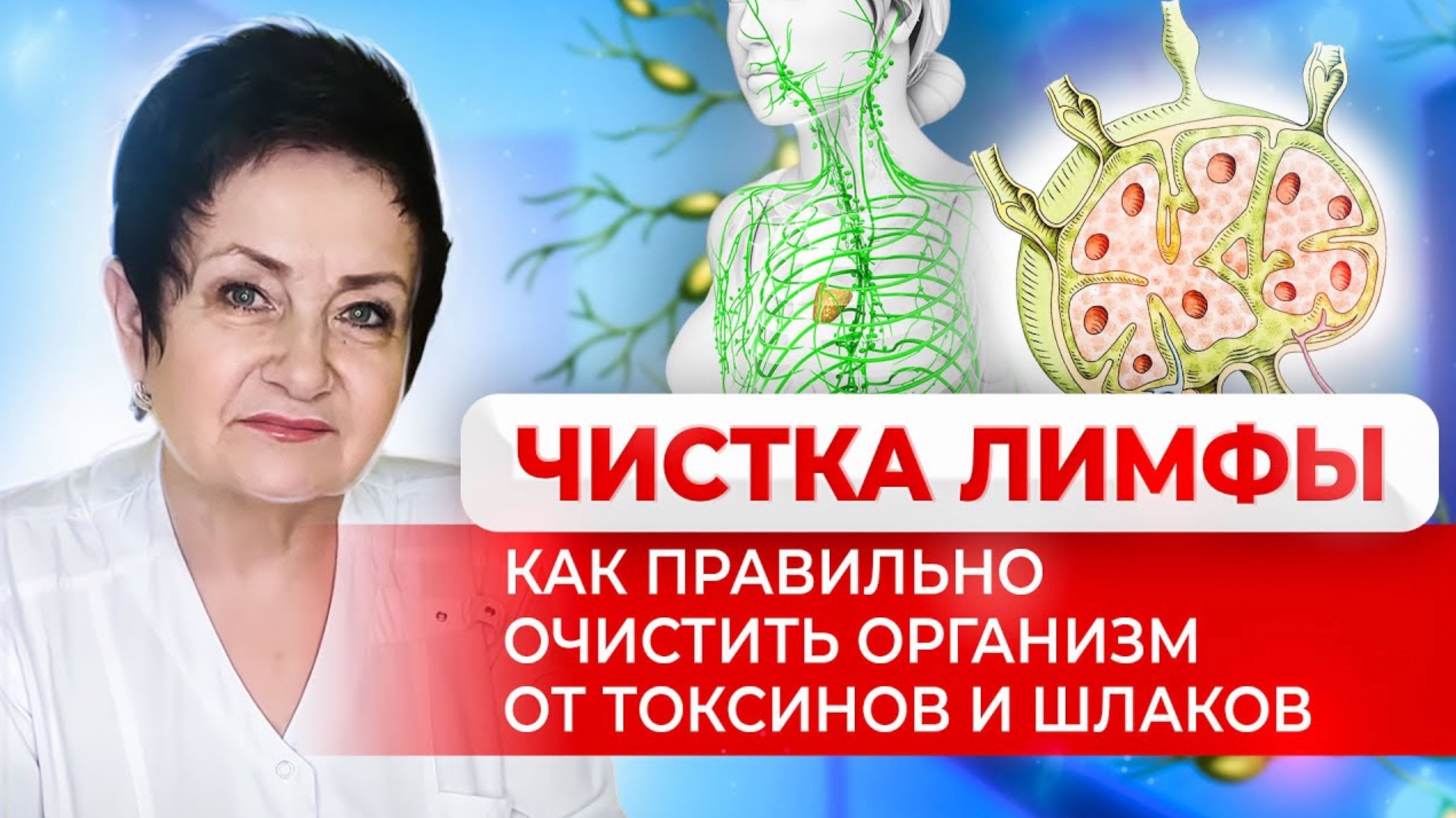 Чистка лимфы: как правильно очистить организм от токсинов и шлаков | Доктор Света
