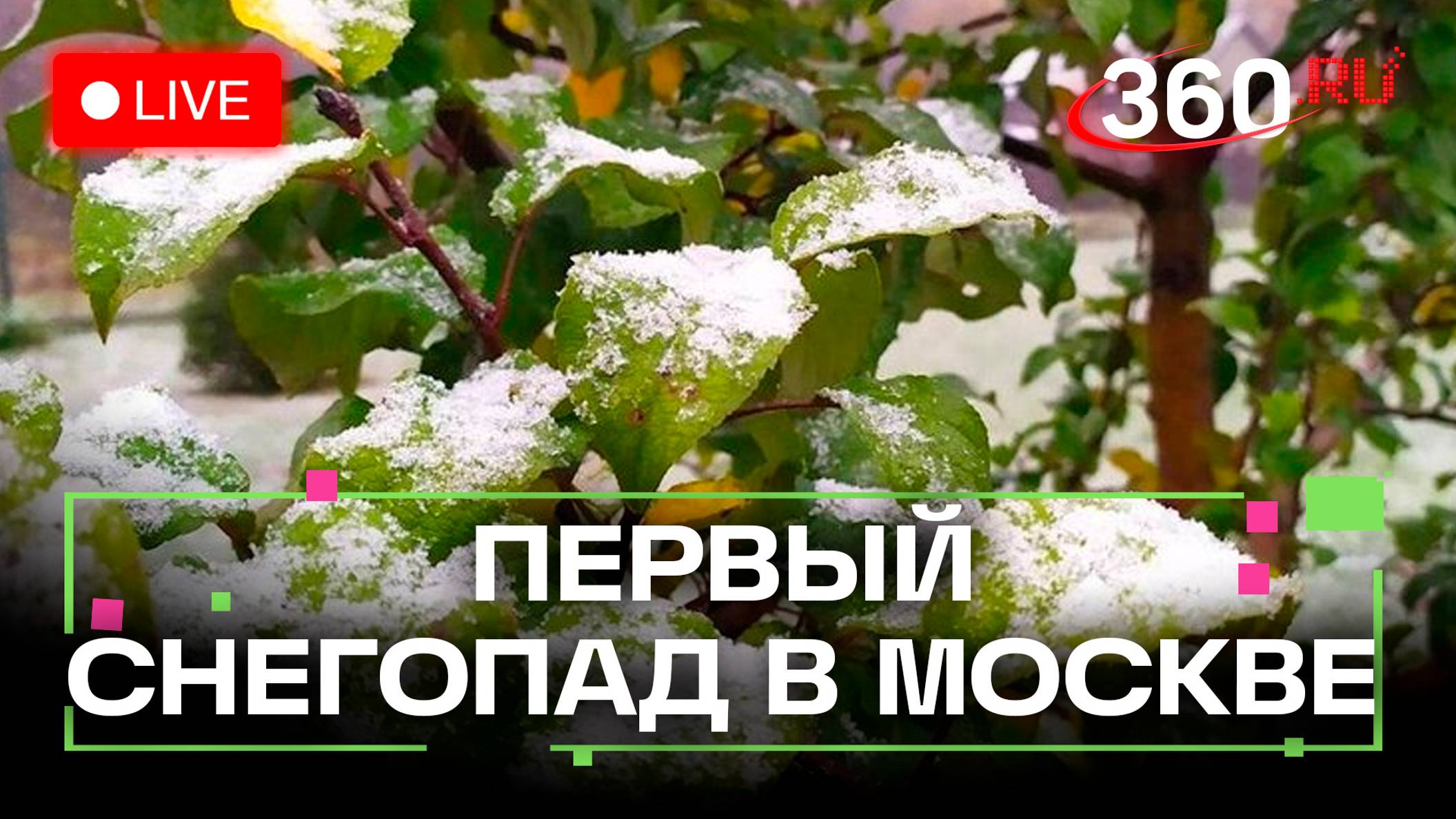 Прогноз погоды на 14 октября. Снегопад. Москва. Подмосковье