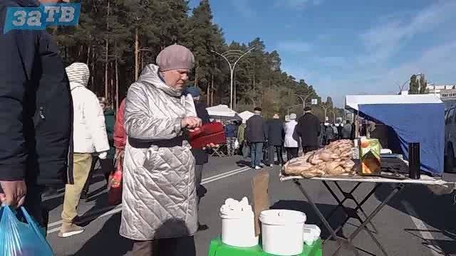 Новости Заречного от 14.10.24