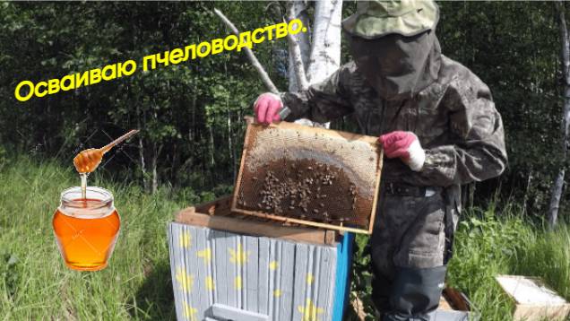 КУПИЛ ХУТОР в ЛЕСУ на краю БОЛОТА. Часть 61. БЫВШАЯ ХОЗЯЙКА ПРИЕХАЛА на ХУТОР.