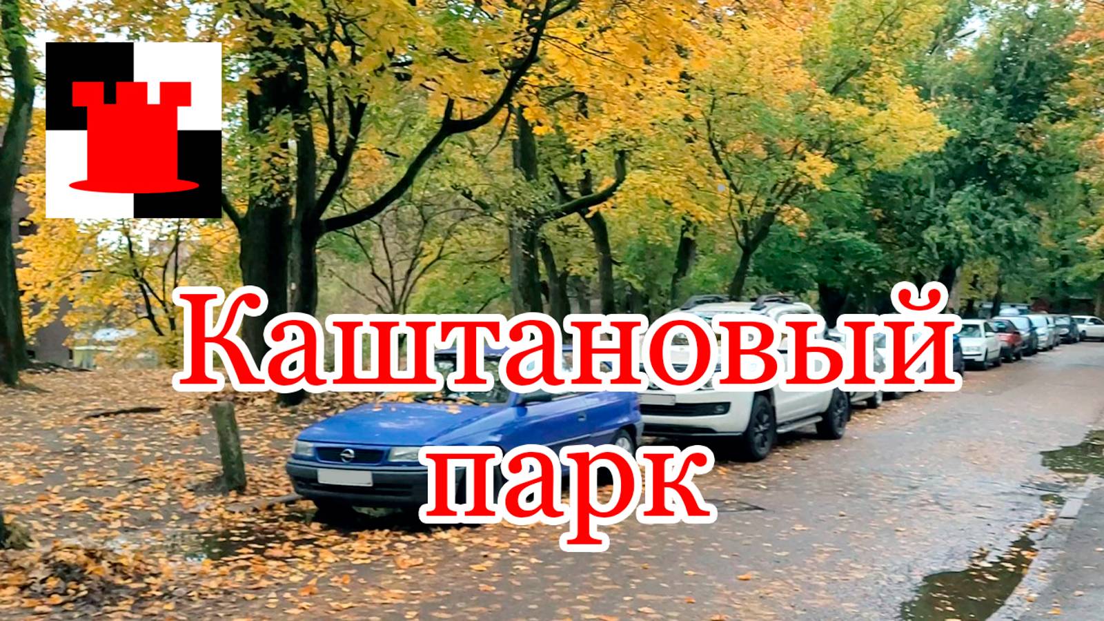 Каштановый парк: в это трудно поверить!