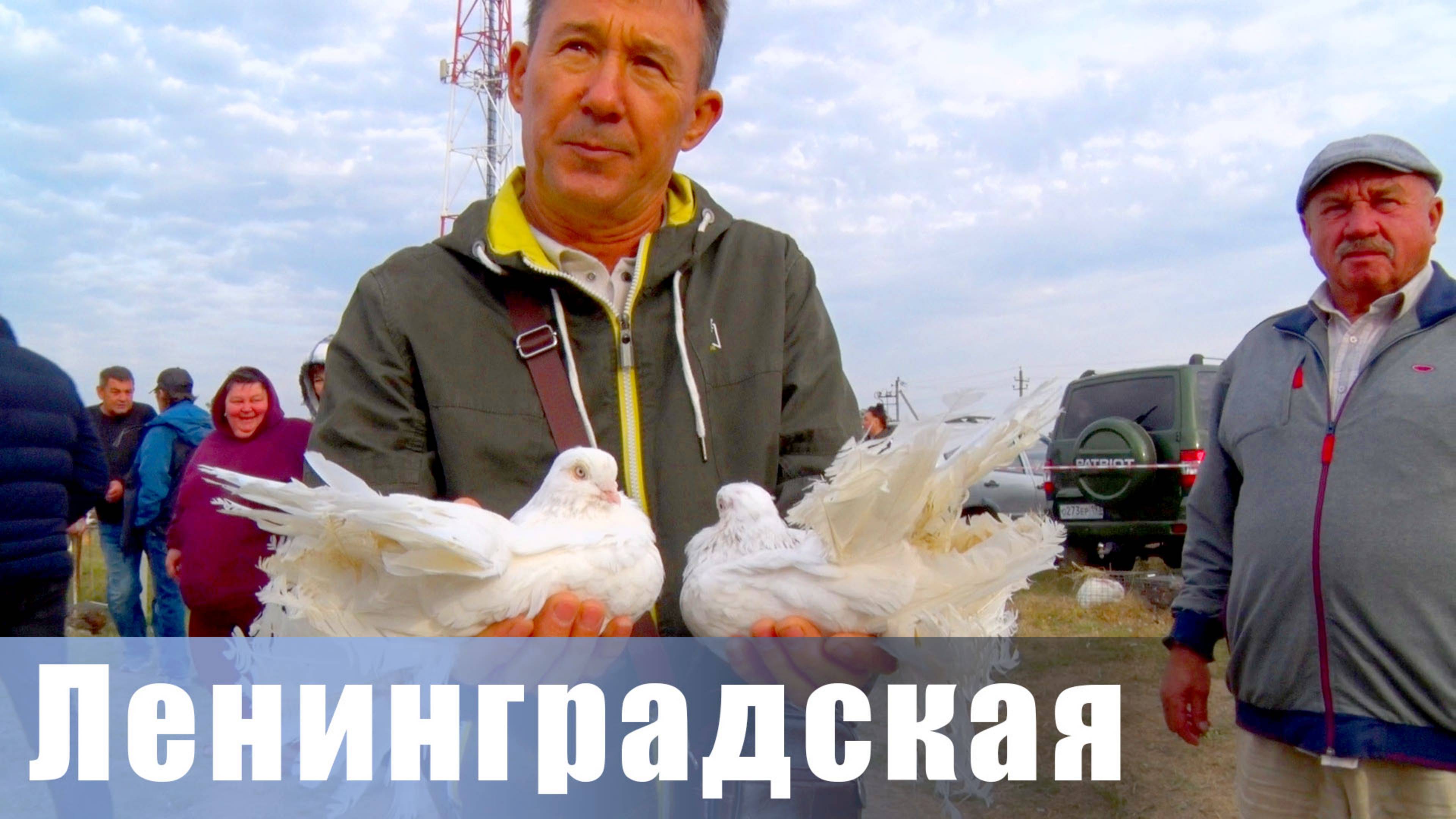 Птичий рынок. Ленинградская. [13.10.2024]