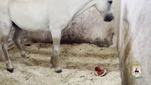 Профориентационное мероприятие провели полицейские и общественники для школьников