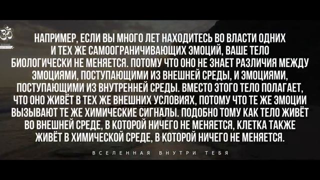 Джо Диспенза. Настраиваемся на высшие измерения_ шишковидная железа как приёмопередатчик.