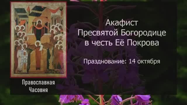 Акафист Покрову Богородицы  ( с текстом )