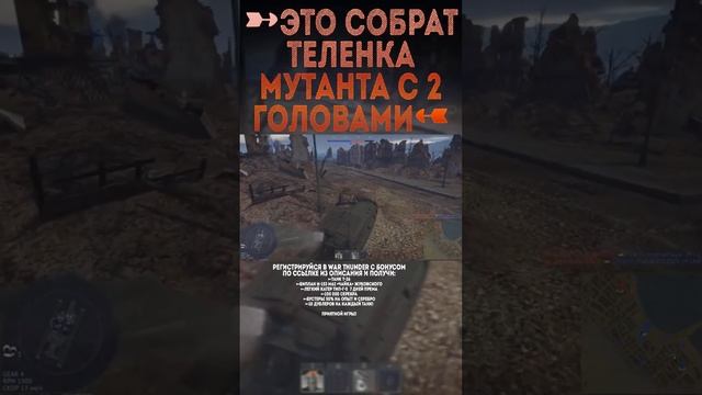 ЭТО СОБРАТ ТЕЛЕНКА МУТАНТА С ДВУМЯ ГОЛОВАМИ War Thunder и Бес #warthunder #вартандер #танки