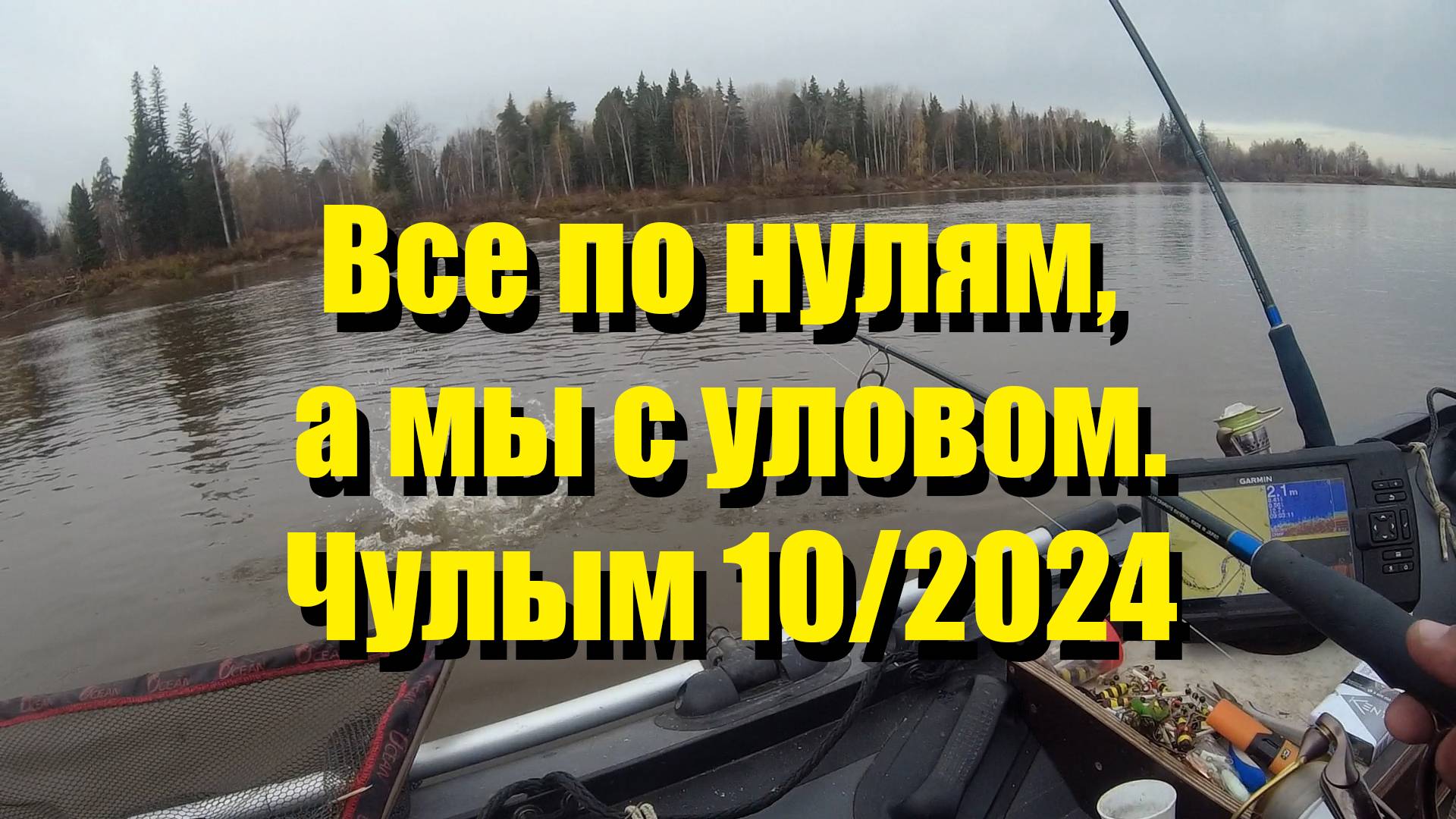 Все по нулям, а мы с уловом. Чулым 10/2024