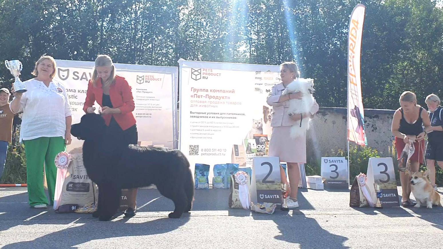 13.07.2024, СПб. Клуб "Стандарт-1". Выставка собак всех пород "НЕВСКИЙ СТАНДАРТ-1" (САС, ЧРКФ)