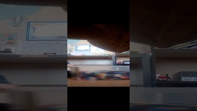 самая быстрая скорость в мире😂😂😂