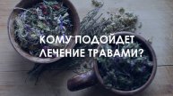 Кому подойдёт лечение травами?