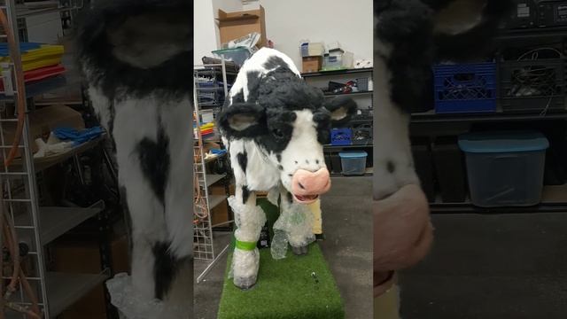 Animatronic Cow Signing Doja Cat & Lizzo