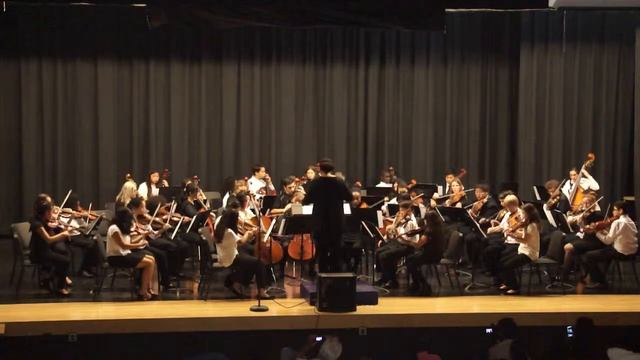 MUSE VIVO performs Symphony No. 29. Movement 1 by Mozart 20150320