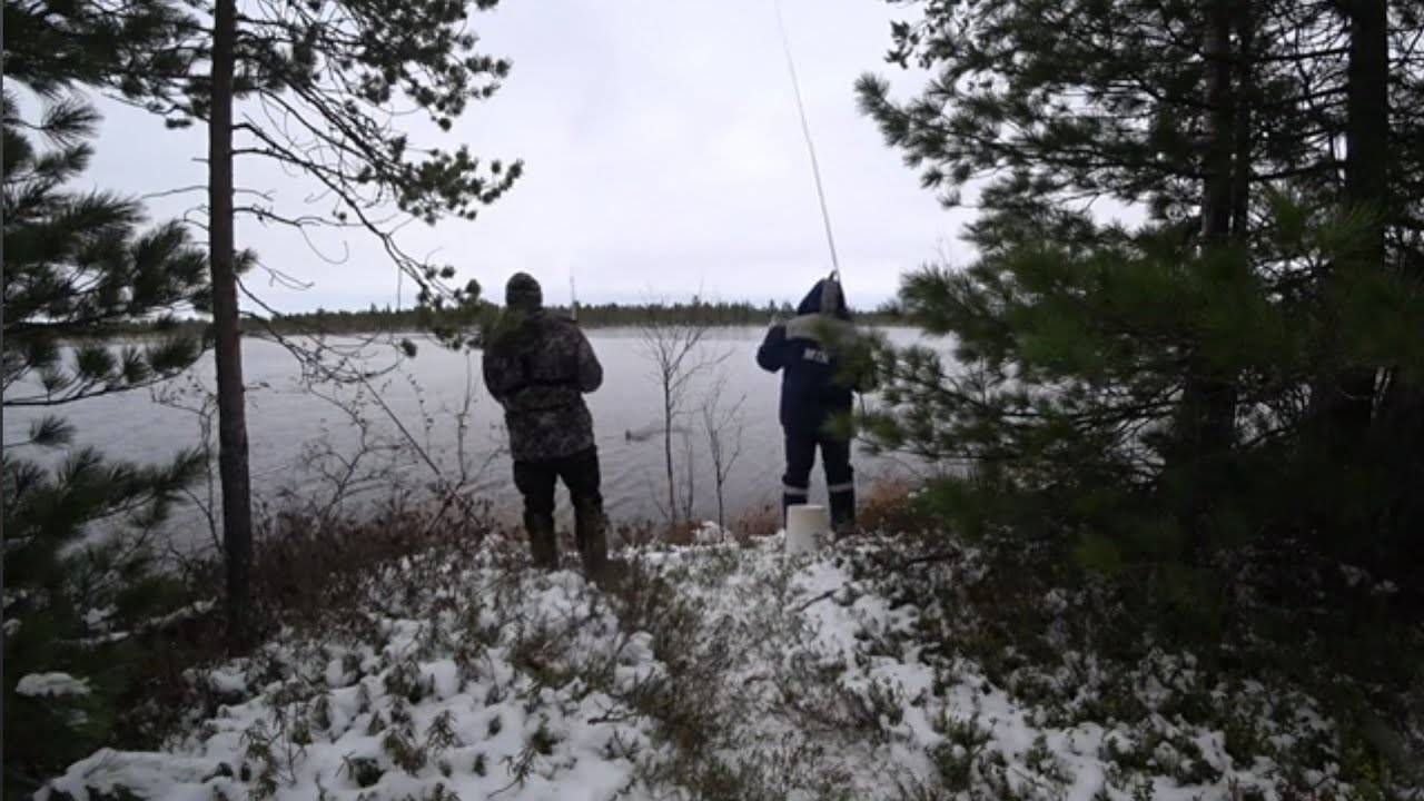 ЗИМНЯЯ рыбалка на летнюю удочку!!! Сорога долбит как с пулемета!!! Сибирская рыбалка 2024г