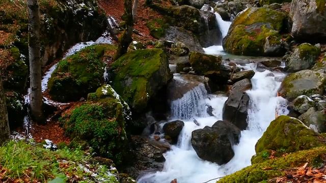 Relaxing Waterfall in Winter, Gentle Waterfall Sounds, River Sounds for Sleeping