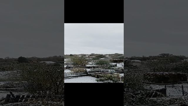 Первый снег
