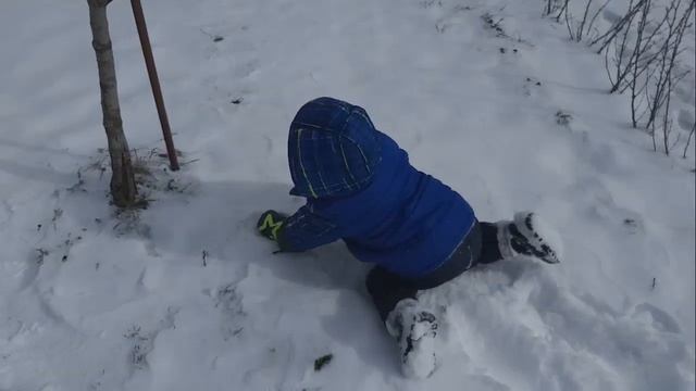 Зимняя прогулка с двойняшками