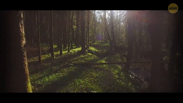 Чем глубже, тем страшнее: ужасные существа глубин океана